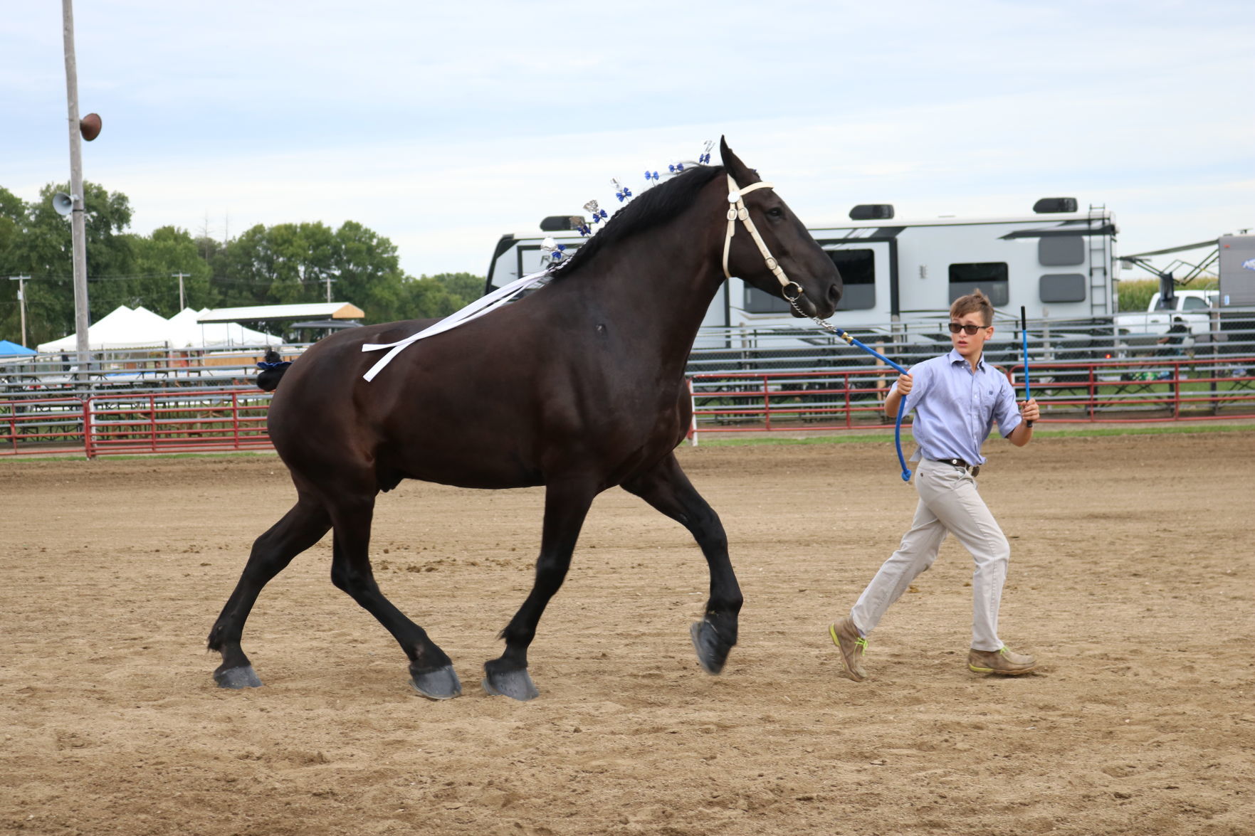 Jr Showmanship 4